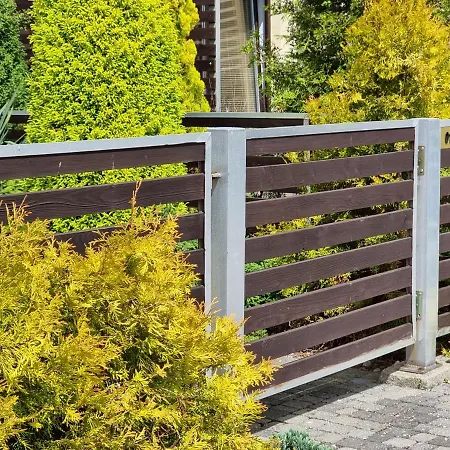 365pam - Poludniowe *